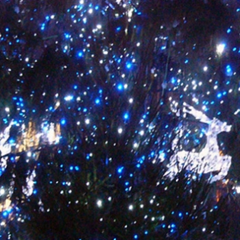 xmas