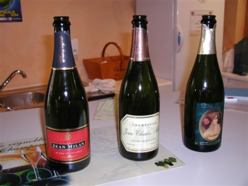 dagje Champagnestreek