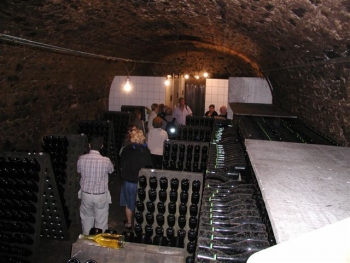 dagje Champagnestreek