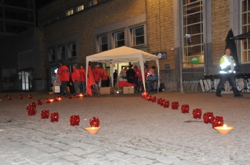 Dag van de interim